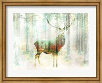 Framed Lord of the Woods