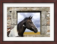 Framed Painted Horse