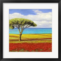 Mediterraneo I Framed Print