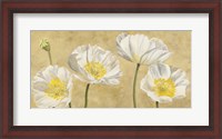 Framed Poppies on Gold