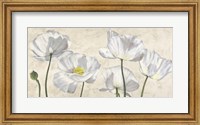 Framed Poppies in White