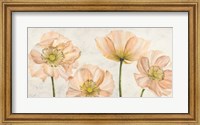 Framed Poppies in Pink