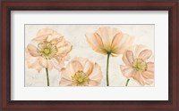 Framed Poppies in Pink