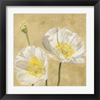 Framed 'Poppies on Gold I' border=