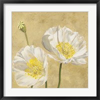 Framed Poppies on Gold I