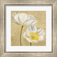 Framed Poppies on Gold II