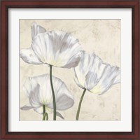 Framed Poppies in White II