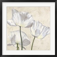 Framed Poppies in White II