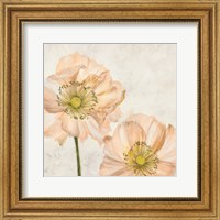 Framed Poppies in Pink I