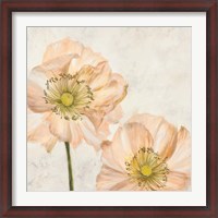 Framed Poppies in Pink I