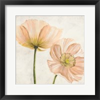 Framed 'Poppies in Pink II' border=