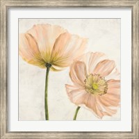 Framed 'Poppies in Pink II' border=