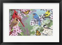 Framed Birds In Spring Blossom