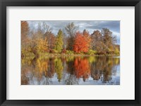 Framed Colors On The Lake