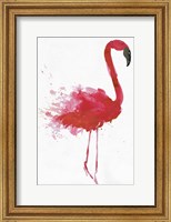 Framed Flamingo Portrait II