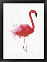 Framed Flamingo Portrait II