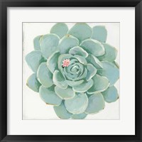 Framed Pastel Succulent I