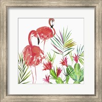 Framed Flamingo Pairing