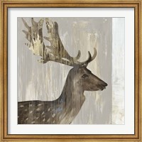 Framed Stag III