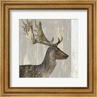 Framed Stag III
