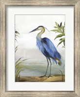 Framed Blue Heron