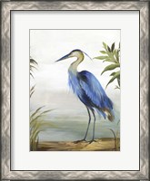 Framed Blue Heron