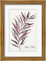 Framed Areca Palm