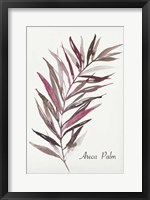 Framed Areca Palm