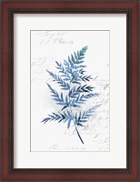 Framed Botanical Blue I