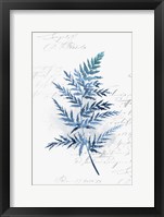 Botanical Blue I Framed Print