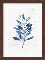 Framed Botanical Blue II