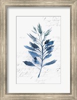 Framed Botanical Blue II