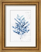 Framed Botanical Blue III