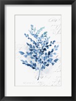 Framed Botanical Blue III
