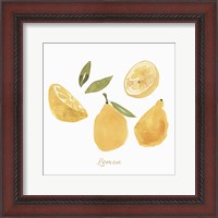 Framed 'Fresh Lemons' border=