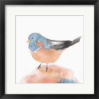 Birdie III Framed Print