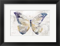 Framed Butterfly Effect I