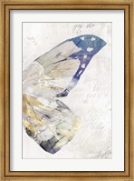 Framed Butterfly Effect III