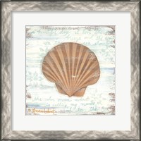 Framed 'Ocean Scallop' border=