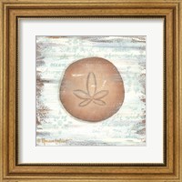 Framed Ocean Sand Dollar