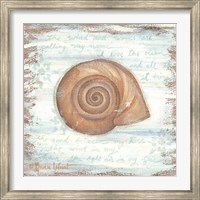 Framed Ocean Snail