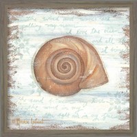 Framed 'Ocean Snail' border=