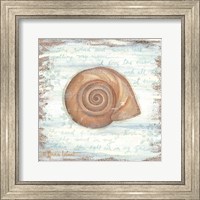 Framed Ocean Snail