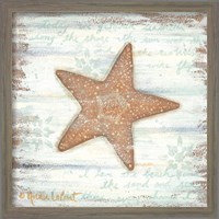 Framed 'Ocean Starfish' border=