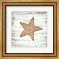 Framed Ocean Starfish