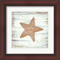 Framed 'Ocean Starfish' border=
