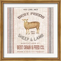 Framed Best Feeds