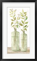 Simple Leaves in Jar I Framed Print