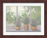 Framed Lavender Pots