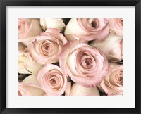 Framed Top View - Pink Roses